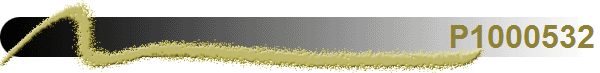 P1000532
