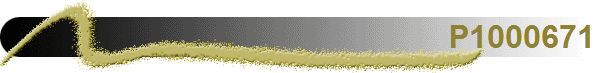 P1000671