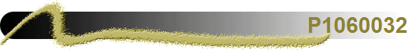 P1060032