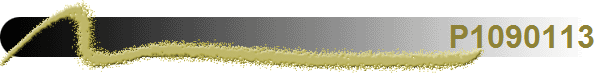 P1090113