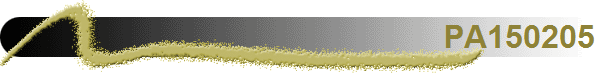 PA150205